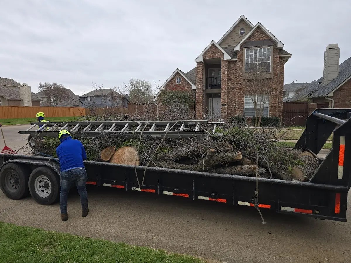 Expert Lot Clearing with proper safety equipment in Rachel